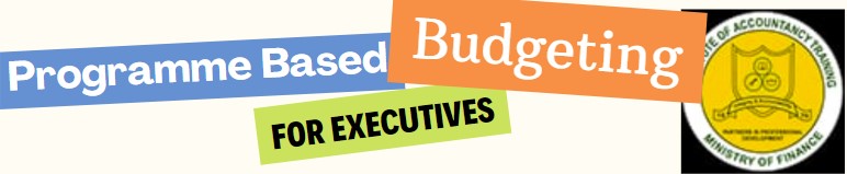 Program Based Budgeting (PBB) for Executives